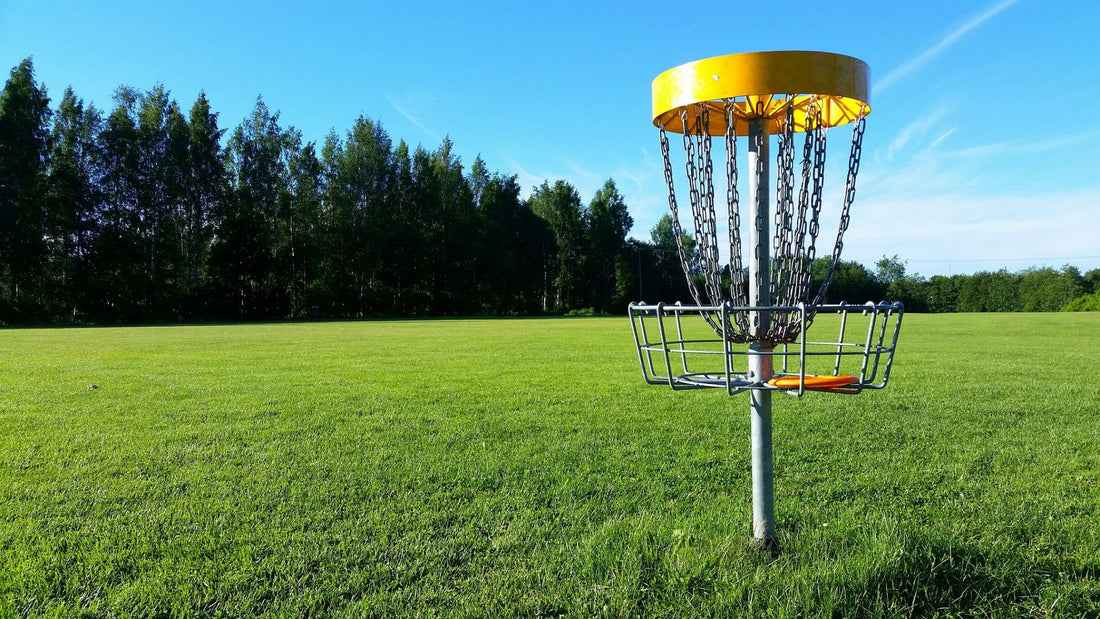Beginners Guide to Disc Golf